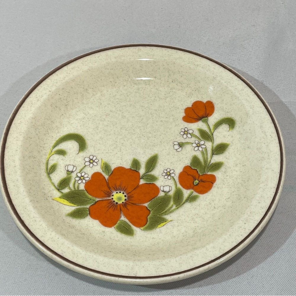 2 Stoneware Salad Plates Nikko Freezer To Oven Orange Blossom 7.5 inches
